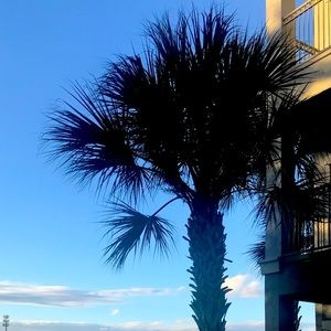 not for sale!! Just about me !!